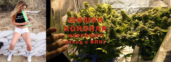 гашик Балахна