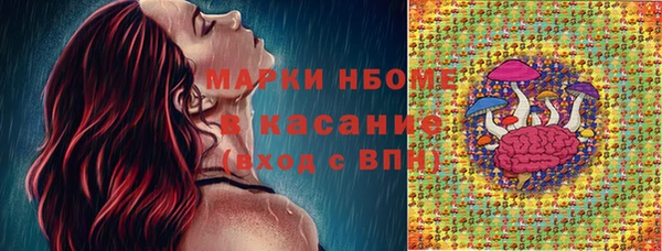 мяу мяу мука Баксан