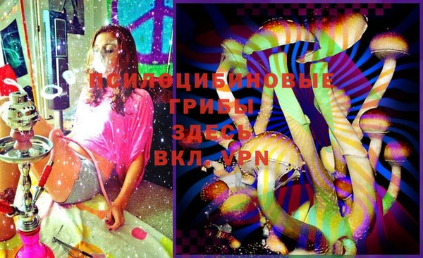 твердый Пролетарск