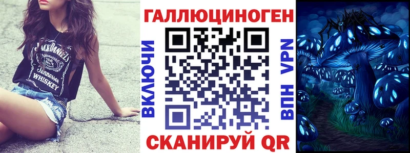 купить наркотики сайты  Лениногорск  ссылка на мегу маркетплейс  Псилоцибиновые грибы GOLDEN TEACHER 