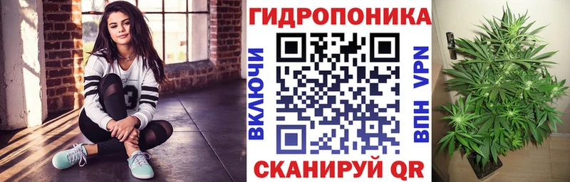 Каннабис SATIVA & INDICA  где купить наркотик  Лениногорск 